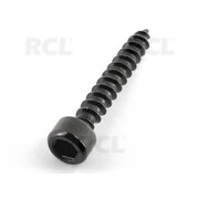 SCREWS SPEC.5x30mm 24pcs IVR5082.jpg