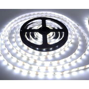 LED strip 12V 9.6W/m 2.5cm cold white IP20 1142Lm/m 6500K, 120LED/m, 40mod/m, CRI>80, reel 5m, warranty: 60 months  PLDJ13B.jpg