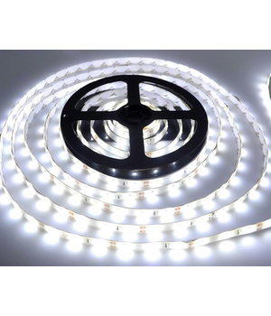 LED strip 12V 9.6W/m 2.5cm cold white IP20 1142Lm/m 6500K, 120LED/m, 40mod/m, CRI>80, reel 5m, warranty: 60 months  PLDJ13B.jpg