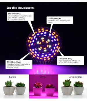AUGALŲ AUGINIMO LEMPUTĖ LED 30W, E27, pilno spektro VLE27_30_FS+2.jpg