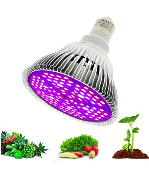 AUGALŲ AUGINIMO LEMPUTĖ LED 30W, E27, pilno spektro VLE27_30_FS.jpg